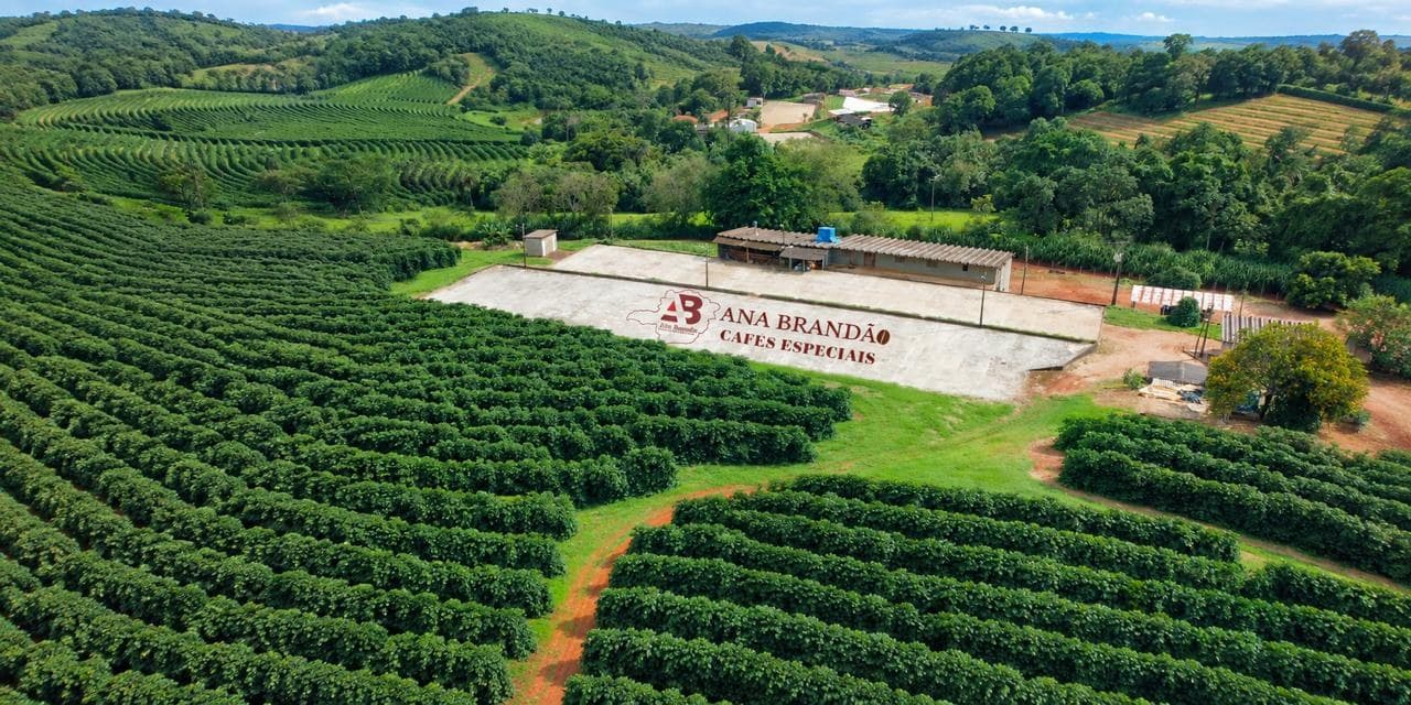 Vista aérea do Sítio Santa Ângela: cafezal e terreiro de secagem com a marca Ana Brandão